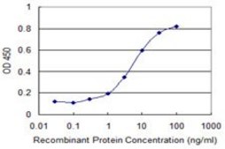 Monoclonal Anti-KCNC3, (C-terminal) antibody produced in mouse clone 6F7, purified immunoglobulin, buffered aqueous solution