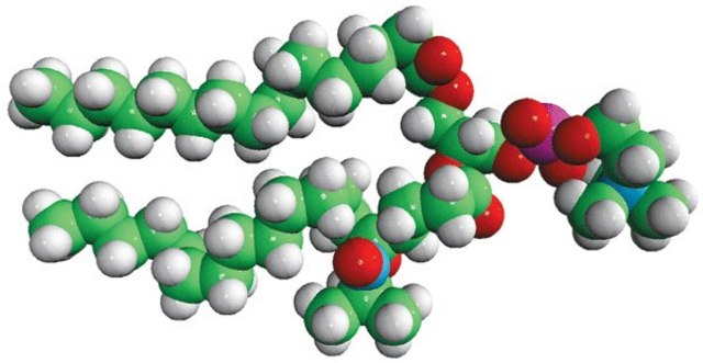 16:0-5 Doxyl PC Avanti Research&#8482; - A Croda Brand 810601C