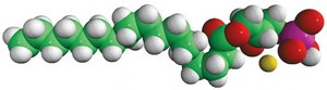 18:0 Lyso PA Avanti Research&#8482; - A Croda Brand