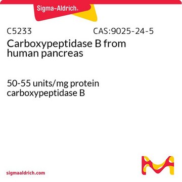 Carboxypeptidase&#160;B from human pancreas 50-55&#160;units/mg protein carboxypeptidase B