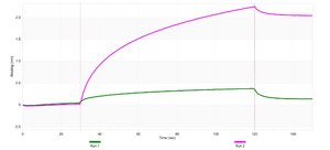 Anti-CD66b/CEACAM8 Antibody, clone 1L6 ZooMAb&#174; Rabbit Monoclonal recombinant, expressed in HEK 293 cells