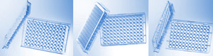 Greiner 96 well plates, polystyrene non-sterile