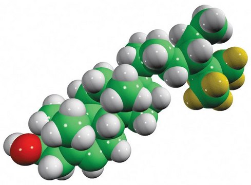 sitosterol-d7 Avanti Research&#8482; - A Croda Brand 700148P, powder