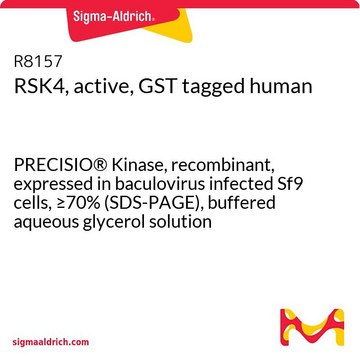 RSK4, active, GST tagged human PRECISIO&#174; Kinase, recombinant, expressed in baculovirus infected Sf9 cells, &#8805;70% (SDS-PAGE), buffered aqueous glycerol solution