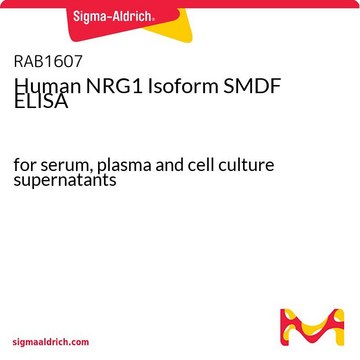 Human NRG1 Isoform SMDF ELISA for serum, plasma and cell culture supernatants