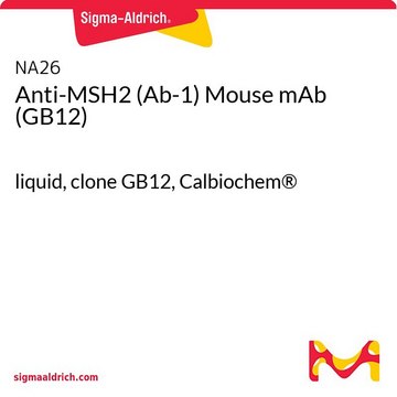 Anti-MSH2 (Ab-1) Mouse mAb (GB12) liquid, clone GB12, Calbiochem&#174;