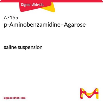 p-Aminobenzamidine–Agarose saline suspension