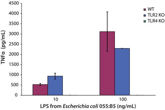 Lipopolysaccharides from Escherichia coli O55:B5 purified by ion-exchange chromatography, TLR ligand tested