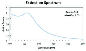 Gold nanoparticles 5&#160;nm diameter, silica coated, OD 1, dispersion in H2O