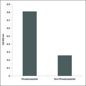 Anti-phospho-p53 (pSer46) antibody produced in rabbit affinity isolated antibody