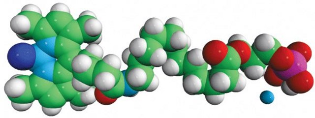 TopFluor&#8482; Lyso PA Avanti Research&#8482; - A Croda Brand 810280P, powder