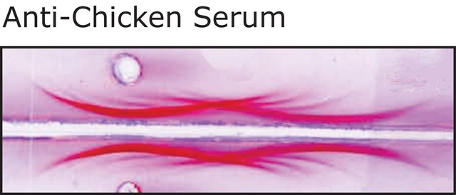 Anti-Chicken Serum antibody produced in rabbit whole antiserum