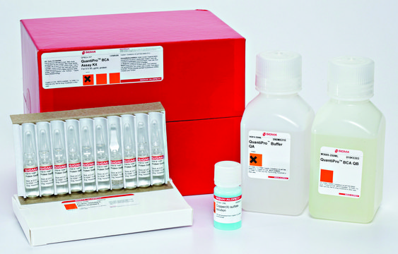 QuantiPro&#8482; BCA Assay Kit for 0.5-30 &#956;g/ml protein