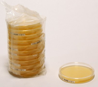 Malt Extract Agar Ready-to-use 90mm plate for detection of yeasts and moulds by Membrane filtration method.
