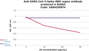 Anti-SARS-COV-2-Spike-RBD region antibody produced in rabbit affinity isolated antibody, buffered aqueous solution