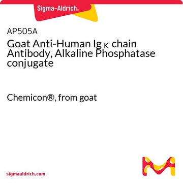 Goat Anti-Human Ig &#954; chain Antibody, Alkaline Phosphatase conjugate Chemicon&#174;, from goat