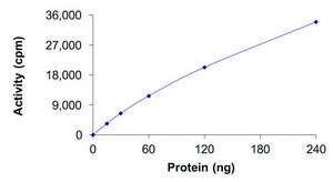SBK1, Active PRECISIO&#174; Kinase, recombinant