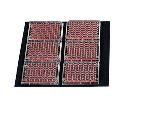 Utility Tray for Eppendorf&#174; Brunswick Innova&#174; 2100 and Excella&#174; E24/24R, 40/40R, 42/42R Shakers, with non-skid rubber surface