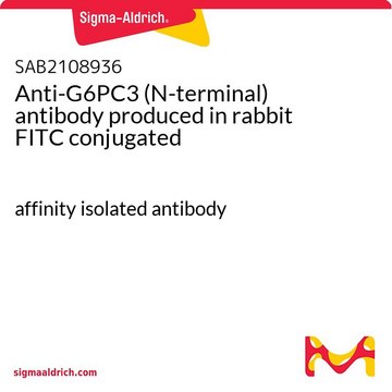 Anti-G6PC3 (N-terminal) antibody produced in rabbit FITC conjugated affinity isolated antibody