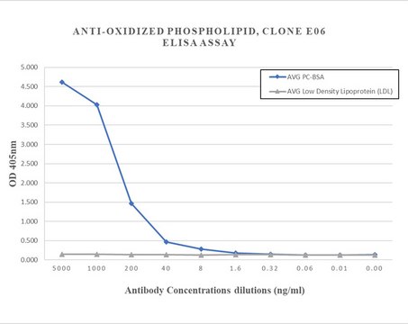 Anti-Oxidized phospholipid Antibody, clone EO6