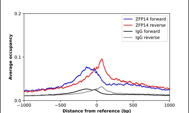 Anti-ZFP14 antibody produced in rabbit Prestige Antibodies&#174; Powered by Atlas Antibodies, affinity isolated antibody, buffered aqueous glycerol solution