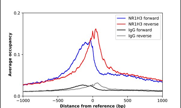 Anti-NR1H3 antibody produced in rabbit Prestige Antibodies&#174; Powered by Atlas Antibodies, affinity isolated antibody, buffered aqueous glycerol solution