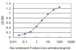 Monoclonal Anti-MKI67 antibody produced in mouse clone 7B8, purified immunoglobulin, buffered aqueous solution