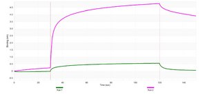 Anti-CYP46A1 Antibody, clone 1C20 ZooMAb&#174; Rabbit Monoclonal recombinant, expressed in HEK 293 cells