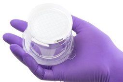 Milliflex Oasis&#174; Filtration Unit pore size 0.45&#160;&#956;m, mixed cellulose esters (MCE) membrane, white filter, volume 100&#160;mL