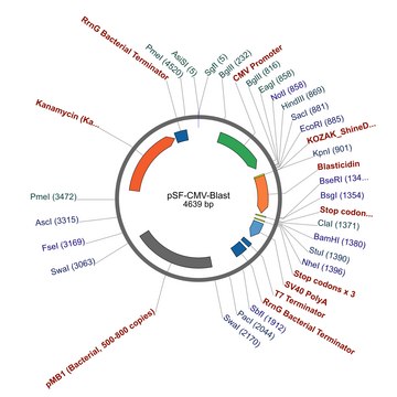 PSF-CMV-BLAST - CMV PROMOTER BLASTICIDIN RESISTANT PLASMID plasmid vector for molecular cloning