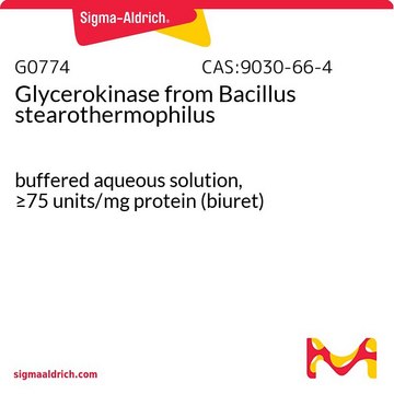 Glycerokinase from Bacillus stearothermophilus buffered aqueous solution, &#8805;75&#160;units/mg protein (biuret)