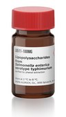 Lipopolysaccharides from Salmonella enterica serotype typhimurium purified by phenol extraction