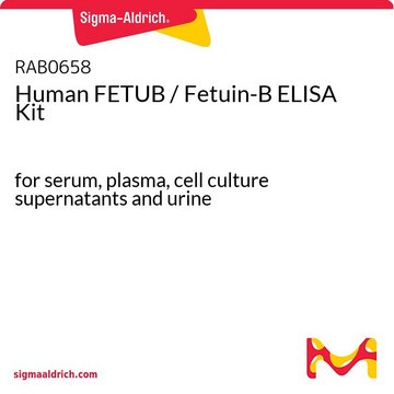 Human FETUB / Fetuin-B ELISA Kit for serum, plasma, cell culture supernatants and urine