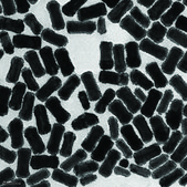 Gold nanorods palladium coated, 25&#160;nm diameter, 100&#160;&#956;g/mL in H2O, dispersion