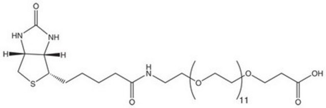 N-Biotinyl-NH(PEG)11-COOH Novabiochem&#174;