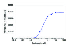 Multidrug Resistance Assay Kit (Fluorometric MDR Assay)