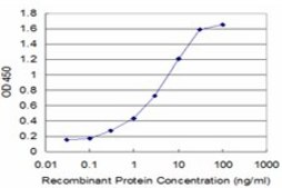 Monoclonal Anti-GLRA1 antibody produced in mouse clone 2E7, purified immunoglobulin, buffered aqueous solution