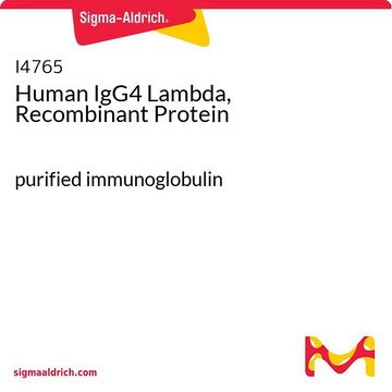 Human IgG4 Lambda, Recombinant Protein purified immunoglobulin