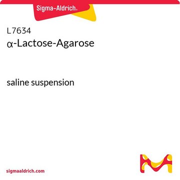 &#945;-Lactose-Agarose saline suspension