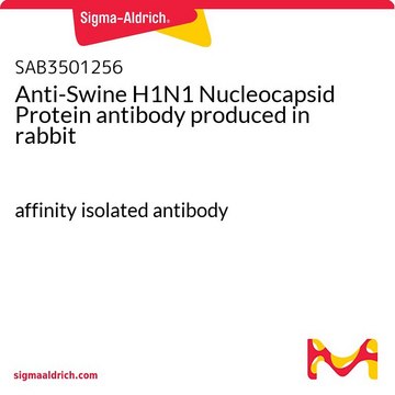 Anti-Swine H1N1 Nucleocapsid Protein antibody produced in rabbit affinity isolated antibody