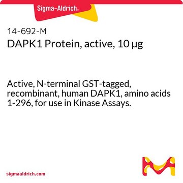 DAPK1 Protein, active, 10 &#181;g Active, N-terminal GST-tagged, recombinant, human DAPK1, amino acids 1-296, for use in Kinase Assays.