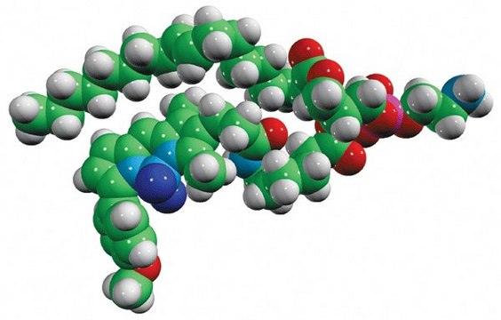 TopFluor&#8482; TMR PE Avanti Research&#8482; - A Croda Brand 810241C
