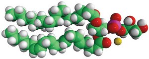 18:0-20:4 PG 1-stearoyl-2-arachidonoyl-sn-glycero-3-phospho-(1&#8242;-rac-glycerol) (sodium salt), chloroform