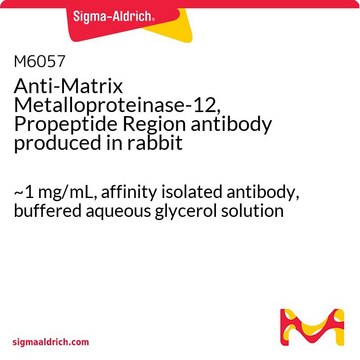 Anti-Matrix Metalloproteinase-12, Propeptide Region antibody produced in rabbit ~1&#160;mg/mL, affinity isolated antibody, buffered aqueous glycerol solution