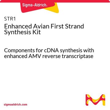 Enhanced Avian First Strand Synthesis Kit Components for cDNA synthesis with enhanced AMV reverse transcriptase