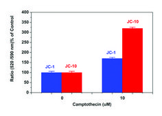 Mitochondrial Membrane Potential Kit sufficient for 500&#160;fluorometric&nbsp;tests (microplate readers)