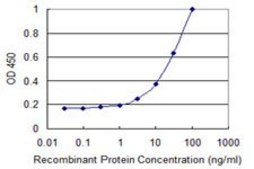 Monoclonal Anti-PLEKHC1 antibody produced in mouse clone 2G11, purified immunoglobulin, buffered aqueous solution