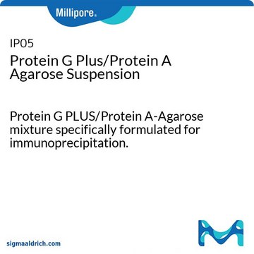 Protein G Plus/Protein A Agarose Suspension Protein G PLUS/Protein A-Agarose mixture specifically formulated for immunoprecipitation.