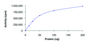 ROCK2 (5-554), active, His tagged human PRECISIO&#174; Kinase, recombinant, expressed in baculovirus infected Sf9 cells, &#8805;70% (SDS-PAGE), buffered aqueous glycerol solution