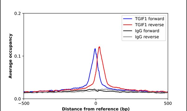 Anti-TGIF1 antibody produced in rabbit Prestige Antibodies&#174; Powered by Atlas Antibodies, affinity isolated antibody